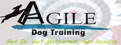 Agile Dog Training